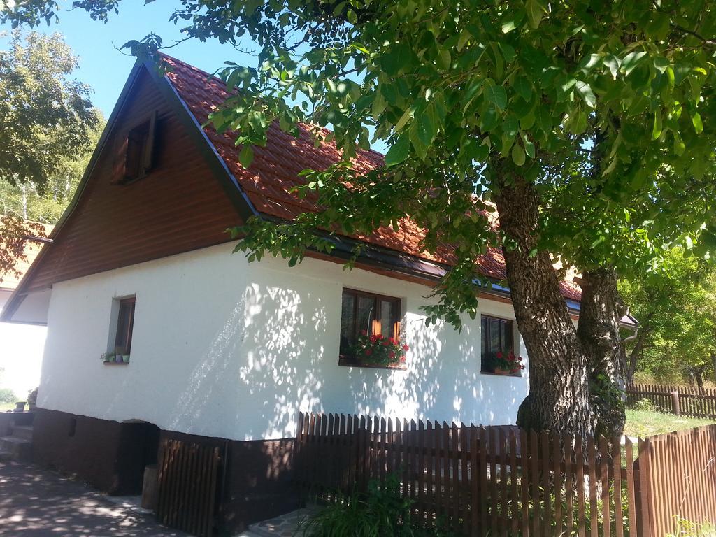 Holiday Home Rizvan City Brusane المظهر الخارجي الصورة